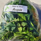 Arugula.jpeg