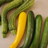 zucchini.jpeg