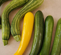 zucchini.jpeg