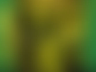 ECUADOR CAMINO A LA COPA PANAMERICANA 2025 DE ESPORTS EN BRASIL