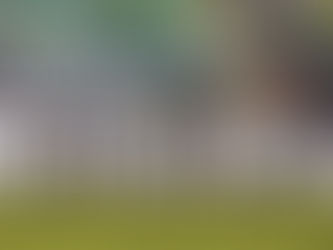場中投注百戰百勝的方式有哪些?讓我們來幫大家介紹!