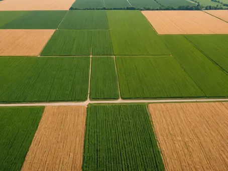 Uncovering the Hidden Powerhouse: How Illinois Ignites the Engine of the American Economy
