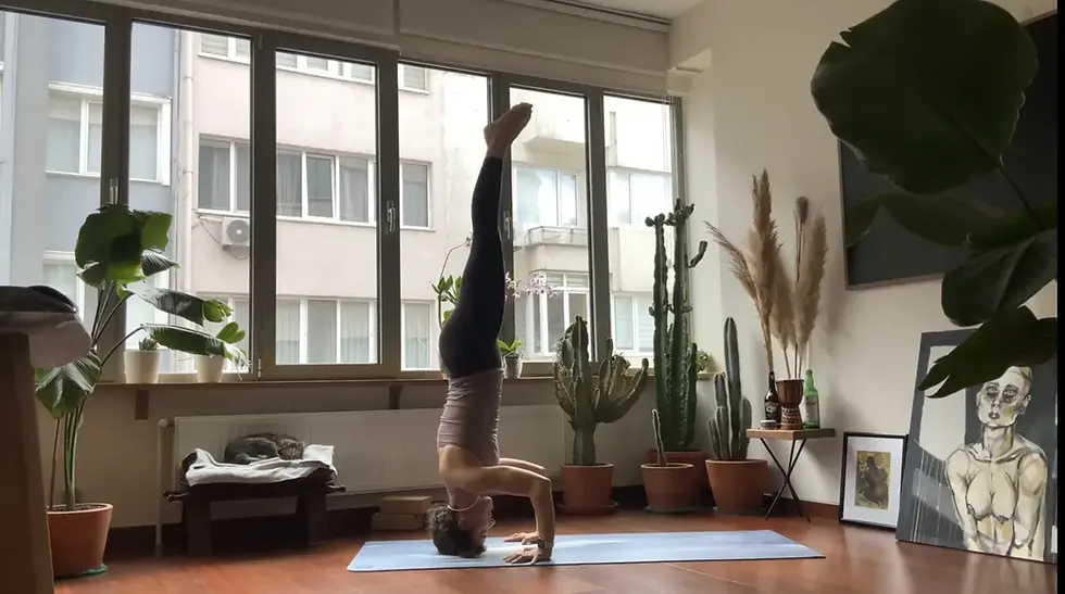 Screenshot 2026-02-10 at 23.38.36.png