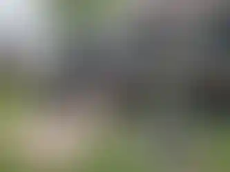 Happy Grilling Deck5