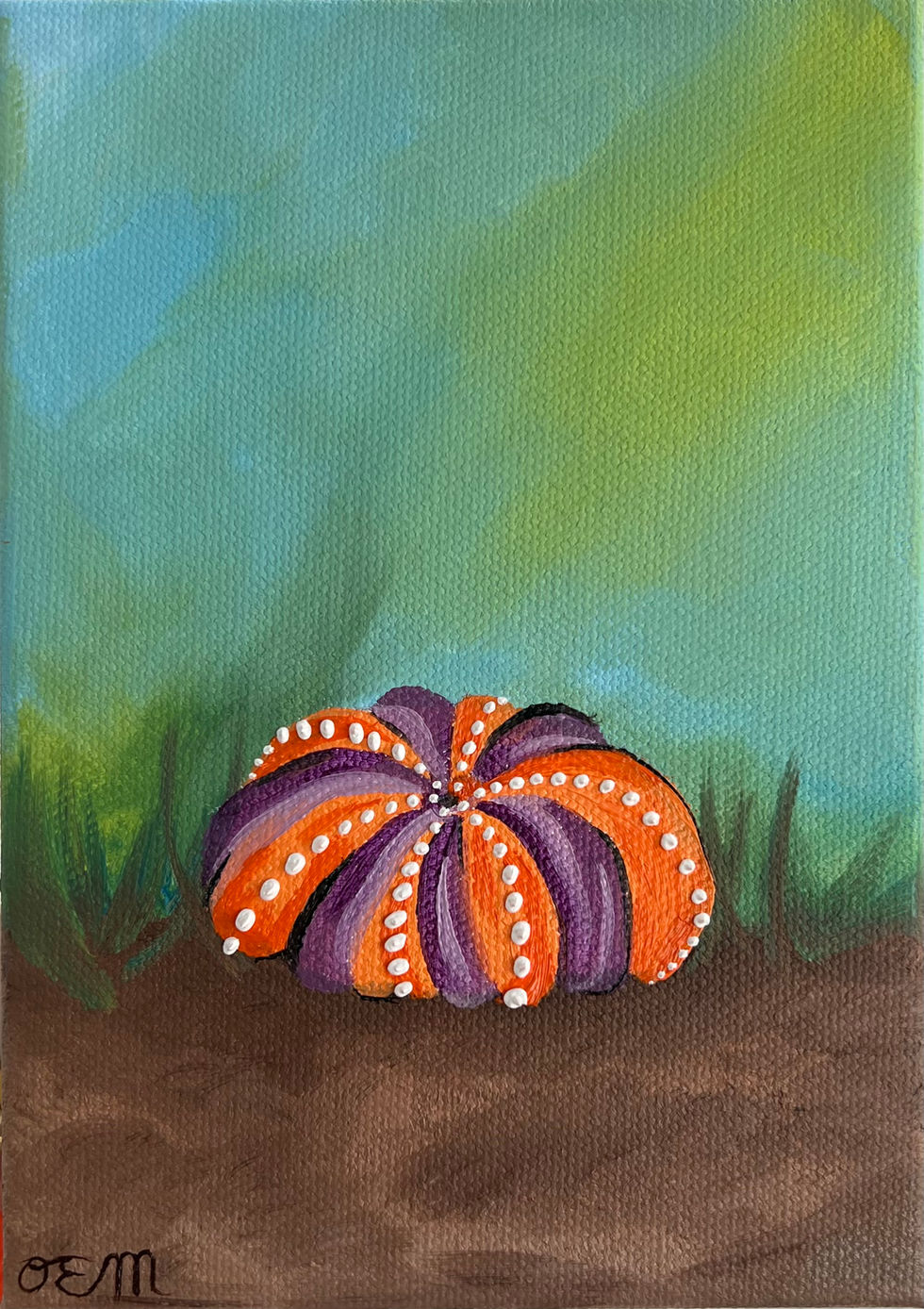 Sea Urchin