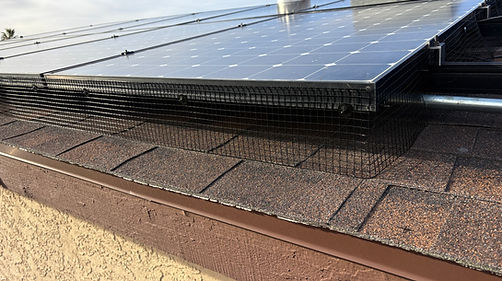 Solar Panel Pigeon Guard
