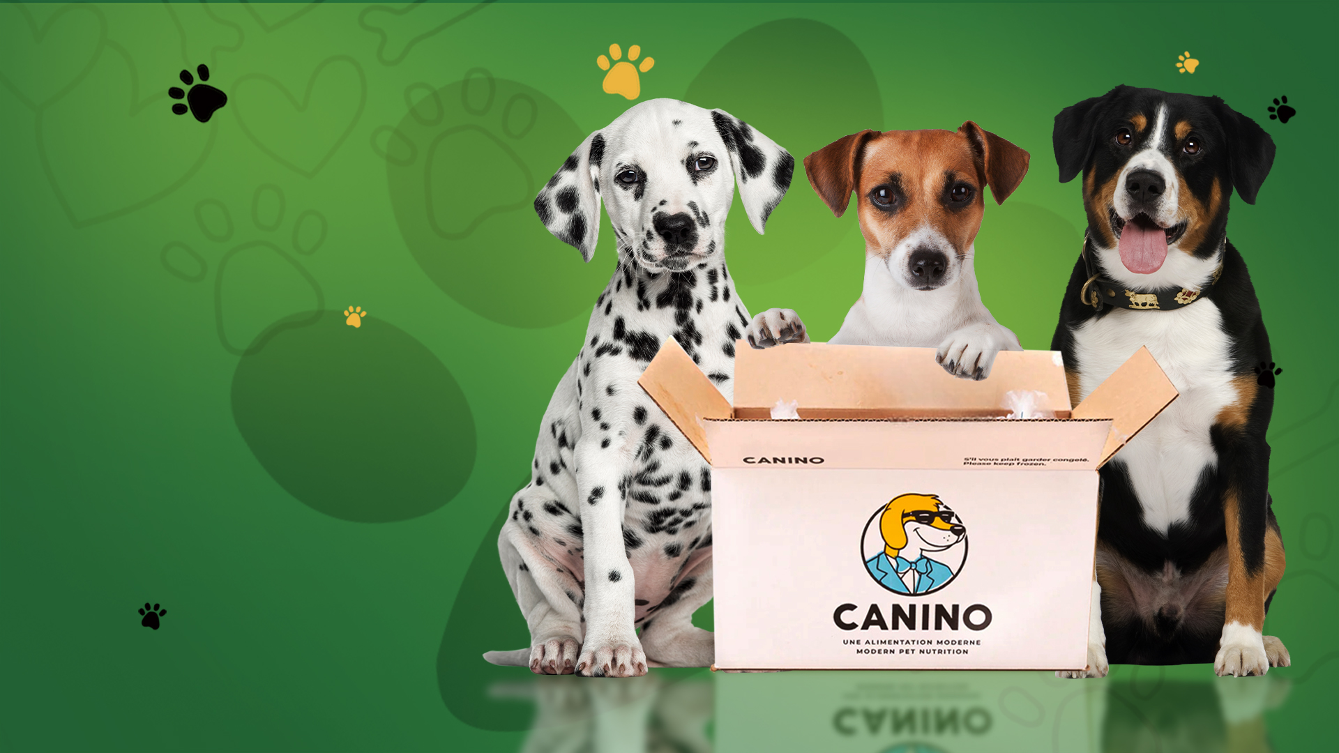 Canino Raw Pet Food Banner