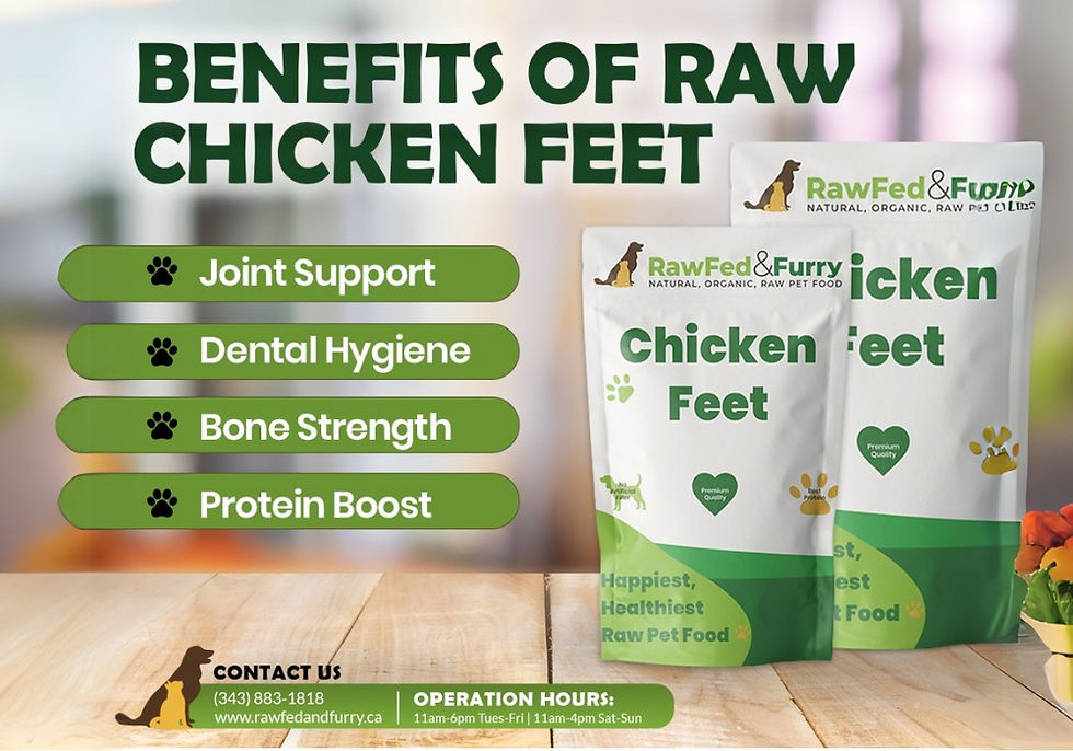 "Benefits of Raw Chicken Feet" with packaging displayed. Text highlights "Joint Support," "Dental Hygiene," "Bone Strength," "Protein Boost."
