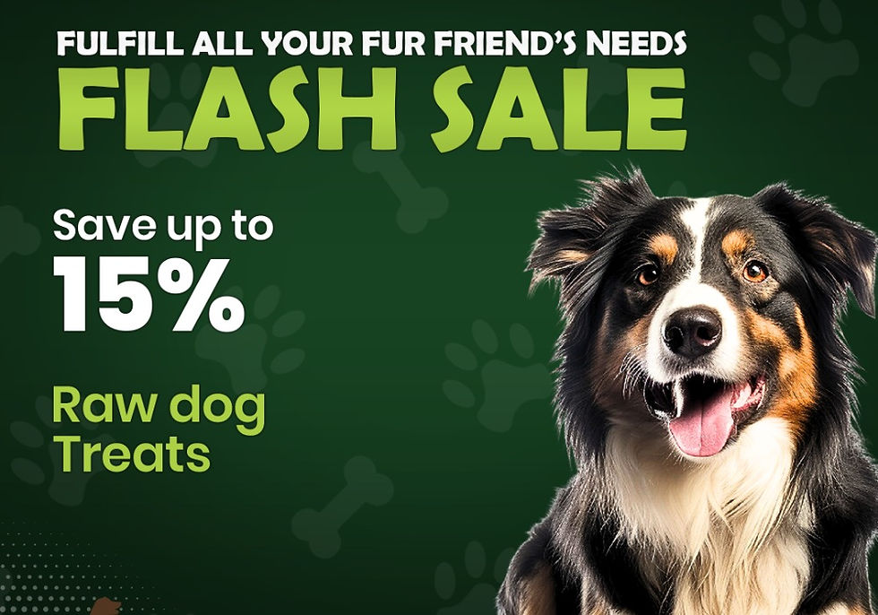 Dog with a happy expression in front of a green background. Text: "Fulfill all your fur friend’s needs. Flash Sale. Save up to 15%. Raw dog treats."