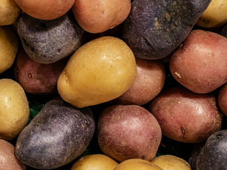 The Potato: an unsuspecting piece of history