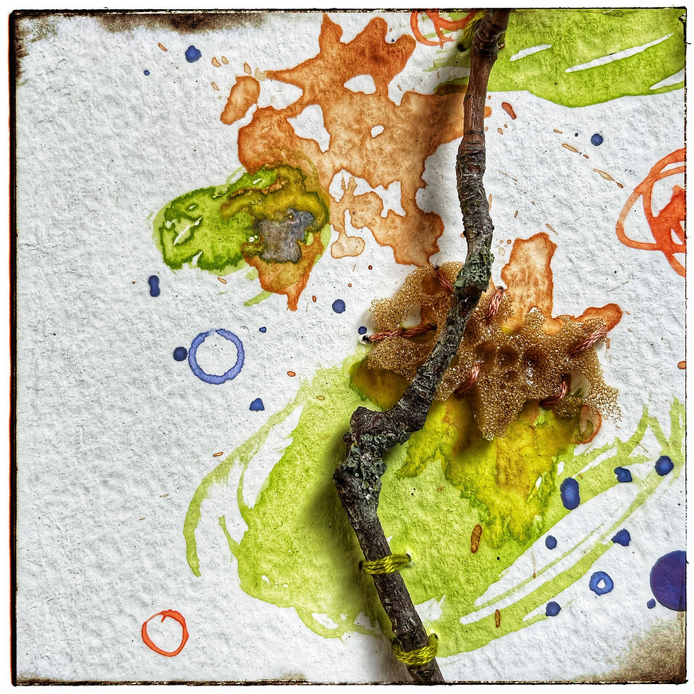 Thumbnail: Jardins du Fleuriste IV