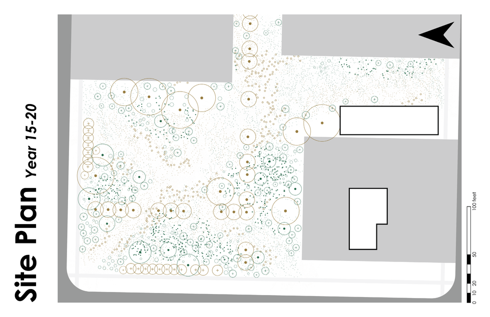 Site Plan: Year 15-20