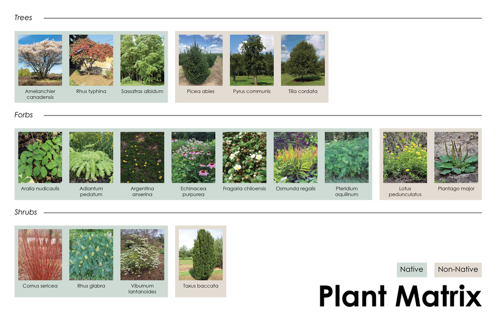 Plant Matrix