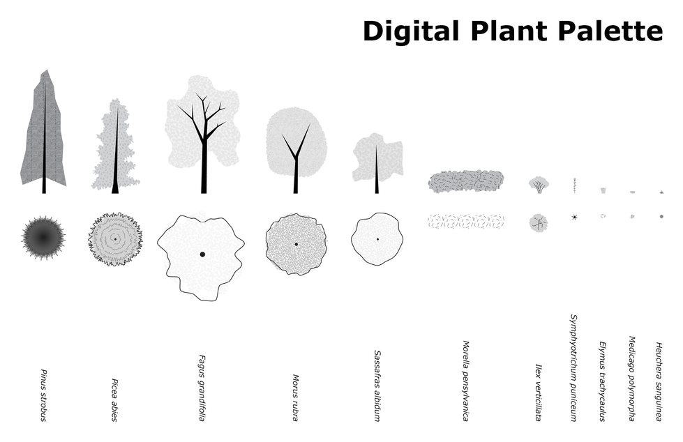 Digital Plant Palette