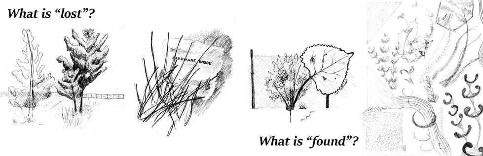 Lost & Found Sketches
