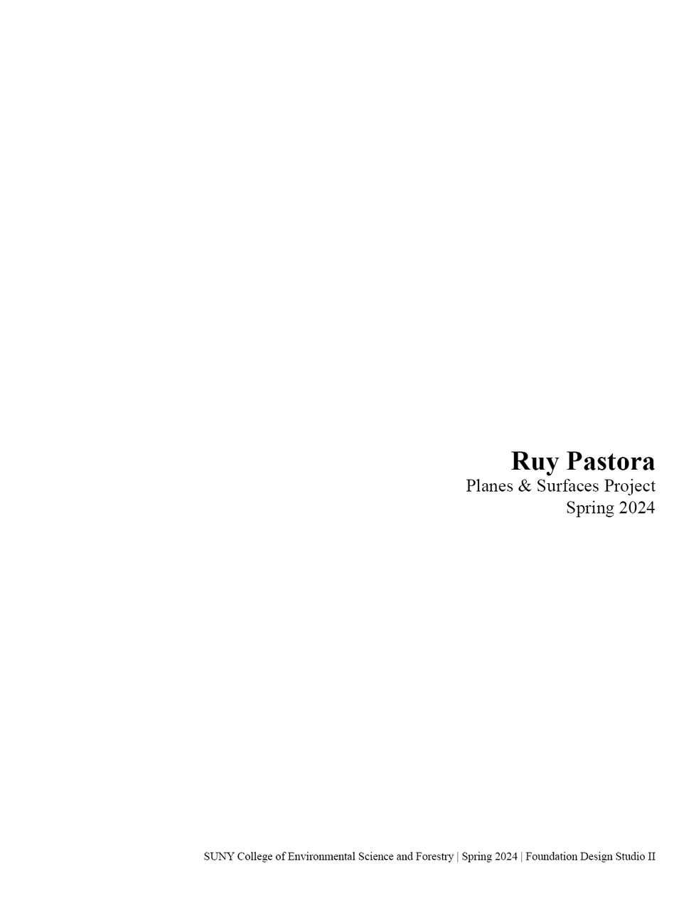 Ruy Pastora Spring 2024 Portfolio3