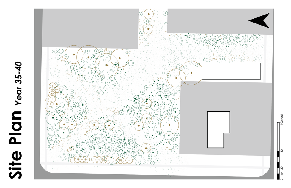 Site Plan: Year 35-40