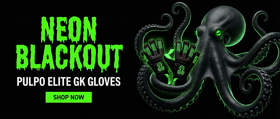 Product_Image_Downloads_In_a_dark_and_dramatic_style_a_black_octopus_-lg16JnU.png