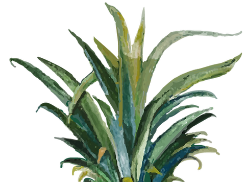 logo1_transparente.png