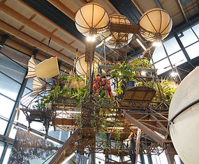 L'expédition végétale