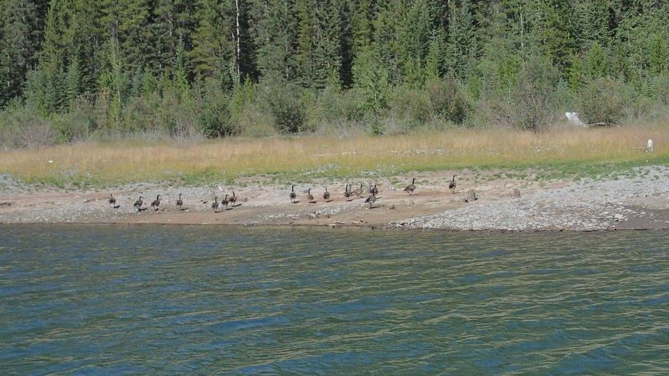 Spray Lakes