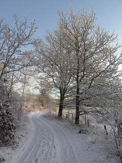Vores vej - vinter