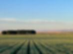 IMG_6858.jpeg
