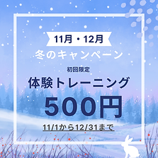 11月・12月キャンペーン.png