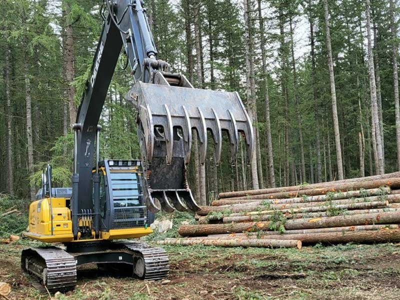 Land Clearing Business Plan: How to Build a Profitable Operation