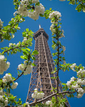 Paris.jpg