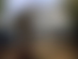 Travaux la suite ...