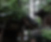 Japan-background.jpg