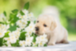 AdobeStock_114315892.jpeg