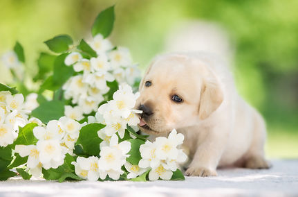AdobeStock_114315892.jpeg