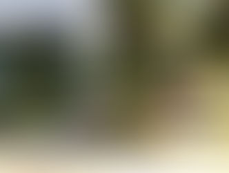 Novidades na Casa de Portugal