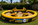 RC Sand Pool Party Rentals Florida – Jupiter RC sand pool party – 954-408-1881 – serving Palm Beach Gardens, Juno Beach and West Palm Beach.