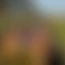 hot wheels party rental miami - school events and birthdays - 954-408-1881 kendall - hialeah - north miami - sunny isles - cutler bay - pinecrest