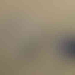 RC Car Party - Racing Fun - Near Me - Pompano - Wilton Manors - Boca Raton - 954-408-1881