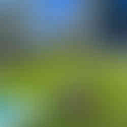 Cornhole Rentals in South Florida Serving cities like Miami - Miami Beach - Coral Gables - Coconut Grove - Deerfield Beach - Delray Beach - West Palm Beach - Boca Raton