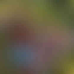 ot wheels racing party fort lauderdale fl - corporate events and kids parties - 954-408-1881 deerfield beach - pompano beach - lighthouse point - parkland - coral springs - margate