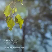 Söyle Hayran eyle beni.webp