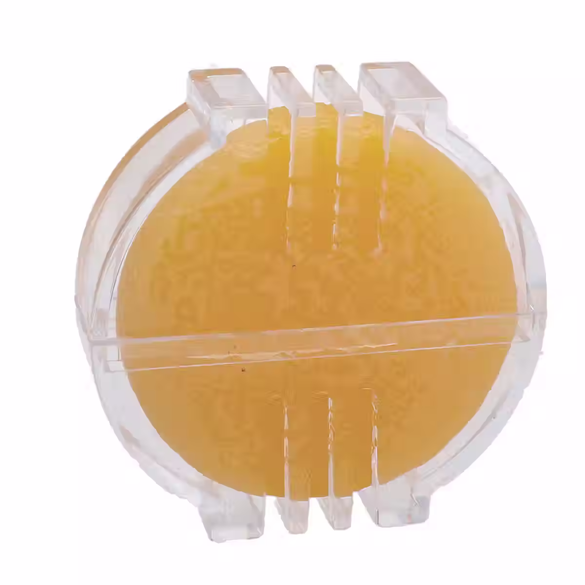 Bees Wax BW4