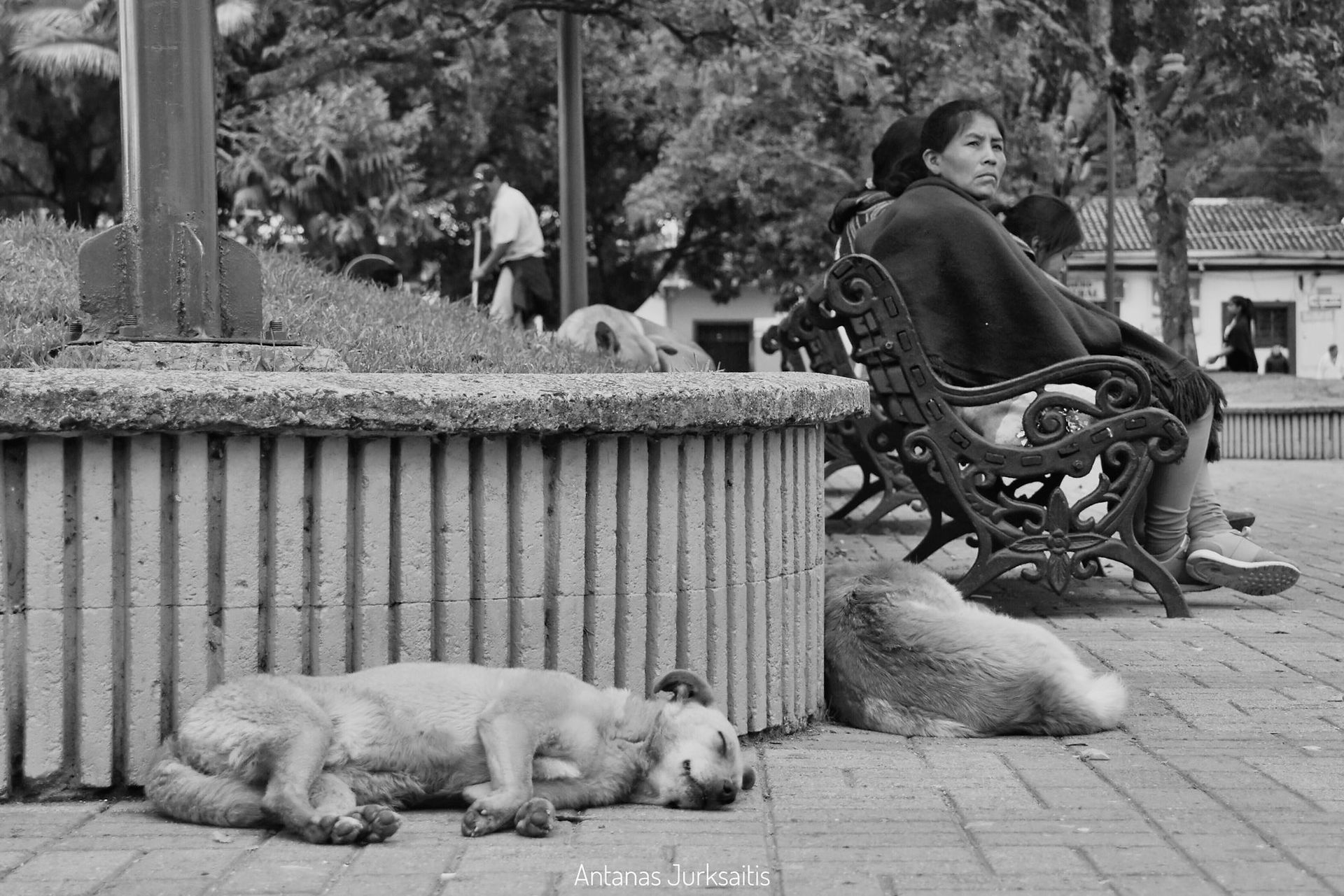 Village life: taken by Antanas Jurksaitis