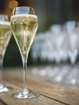 More Than a Dozen Sparkling Wines at Winetopia