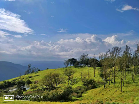 A weekend trip to Bandipur National Park (Updated)