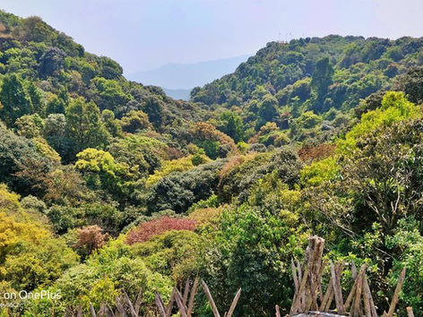 Shillong ~ A Detailed Travel Guide (Updated)