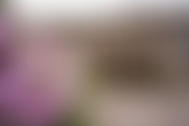 Beamish Hall Hotel wedding venue exterior, Durham – natural wedding photography”