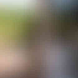 candid wedding guest reflection photo north yorkshire