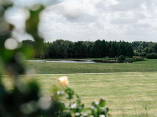 the hidden oak stockton