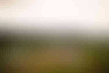 • “Candid wedding photography at Grand Villa Heights Ravenscar